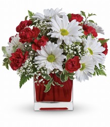 Red And White Delight by Teleflora from Gilmore's Flower Shop in East Providence, RI